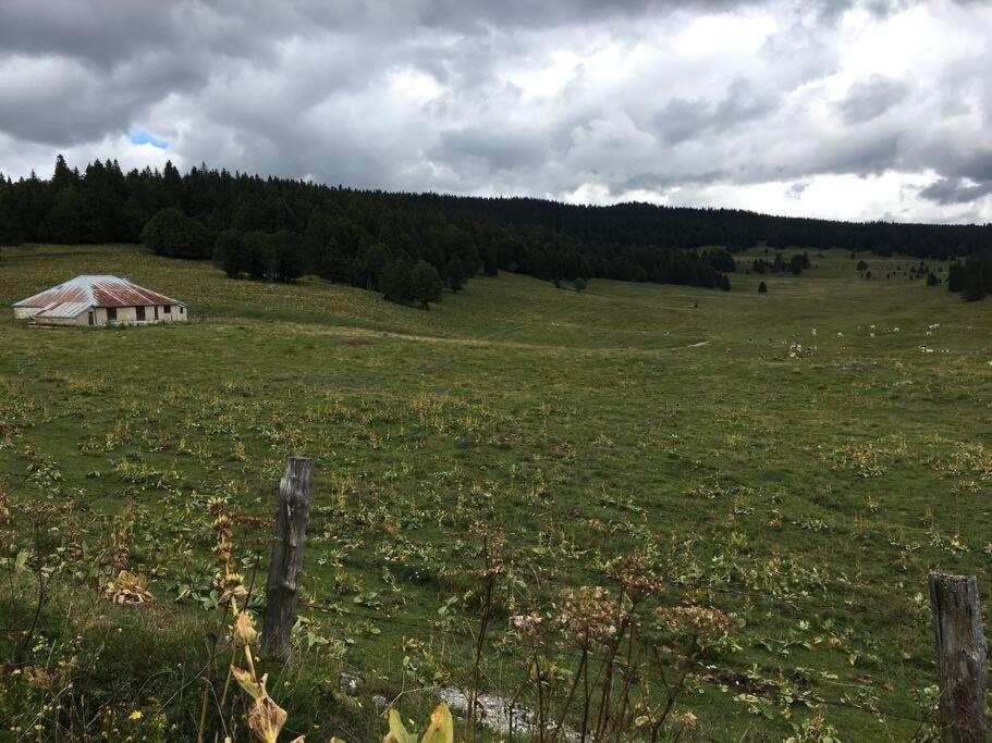 Au Coeur Du Village De Prémanon Exteriör bild